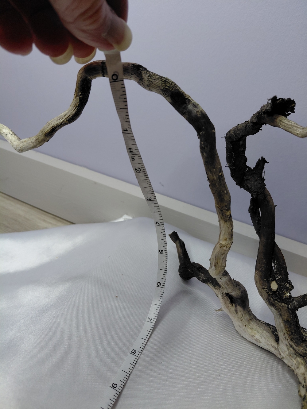 CRAFT Natural Driftwood Decorative Branches - Picture 7 of 10